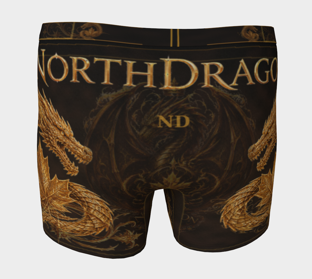 Boxer NorthDragon — Dragon d’Acier