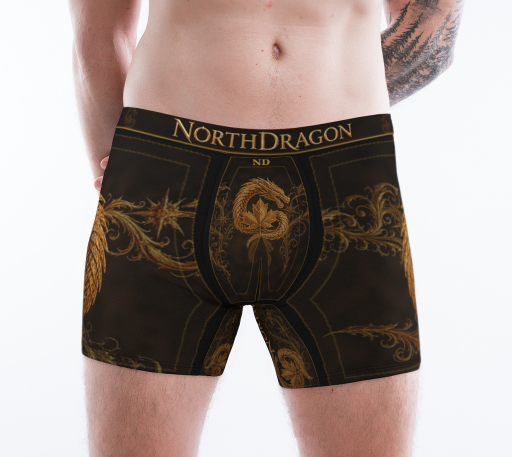 Boxer NorthDragon — Dragon d’Acier