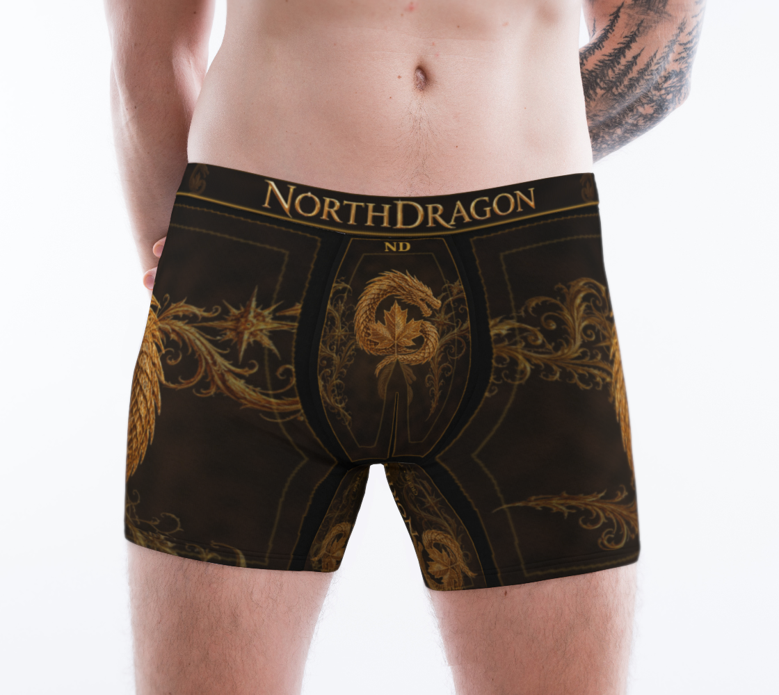 Boxer NorthDragon — Dragon d’Acier